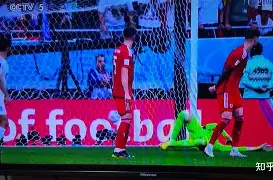 九州棋牌-比赛胜利！球员们的激情与毅力感染全场观众