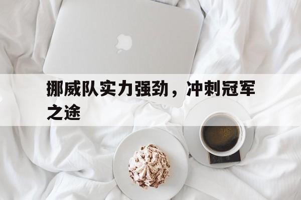 挪威队实力强劲,冲刺冠军之途是谁 挪威队实力强劲,冲刺冠军之途是谁